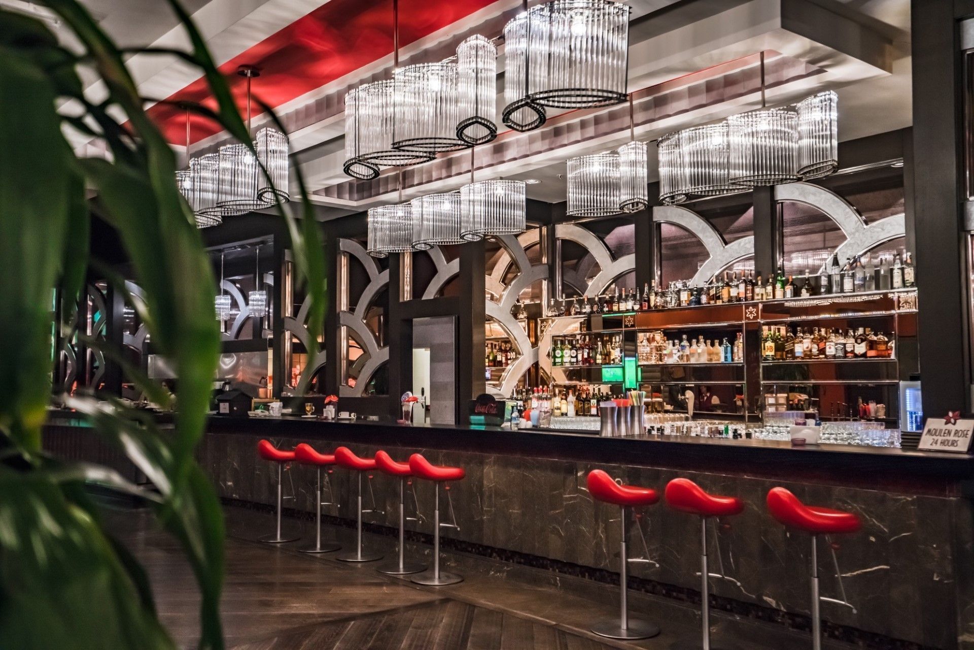 Cornelia Diamond Deneyimler & Etkinlikler